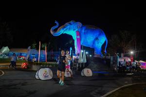 BIB: 
                            <button type="button" onclick="openModal(26552403)" class="btn btn-primary btn-sm float-right btn-popup" data-toggle="modal" data-target=".modal-high-quality">
                        <i class="fas fa-shopping-cart"></i> Add to Cart
                    </button>
                                            <button type="button" onclick="isThisMe(26552403, true)" class="btn btn-success btn-sm float-right btn-popup btn-isme hidden" data-toggle="tooltip" data-placement="bottom" title="นี่คือรูปของคุณใช่ไหม คลิกที่นี่เพื่อเอาเข้าอัลบั้ม">
                        <i class="fas fa-plus"></i> Add to album
                    </button>
                    <button type="button" onclick="isThisMe(26552403, false)" class="btn btn-warning btn-sm float-right btn-popup btn-isnotme hidden">
                        <i class="fas fa-ban"></i> Remove from album
                    </button>